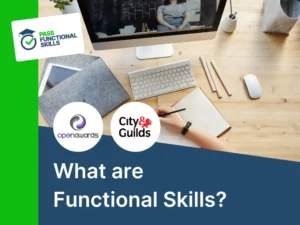 What are Functional Skills?